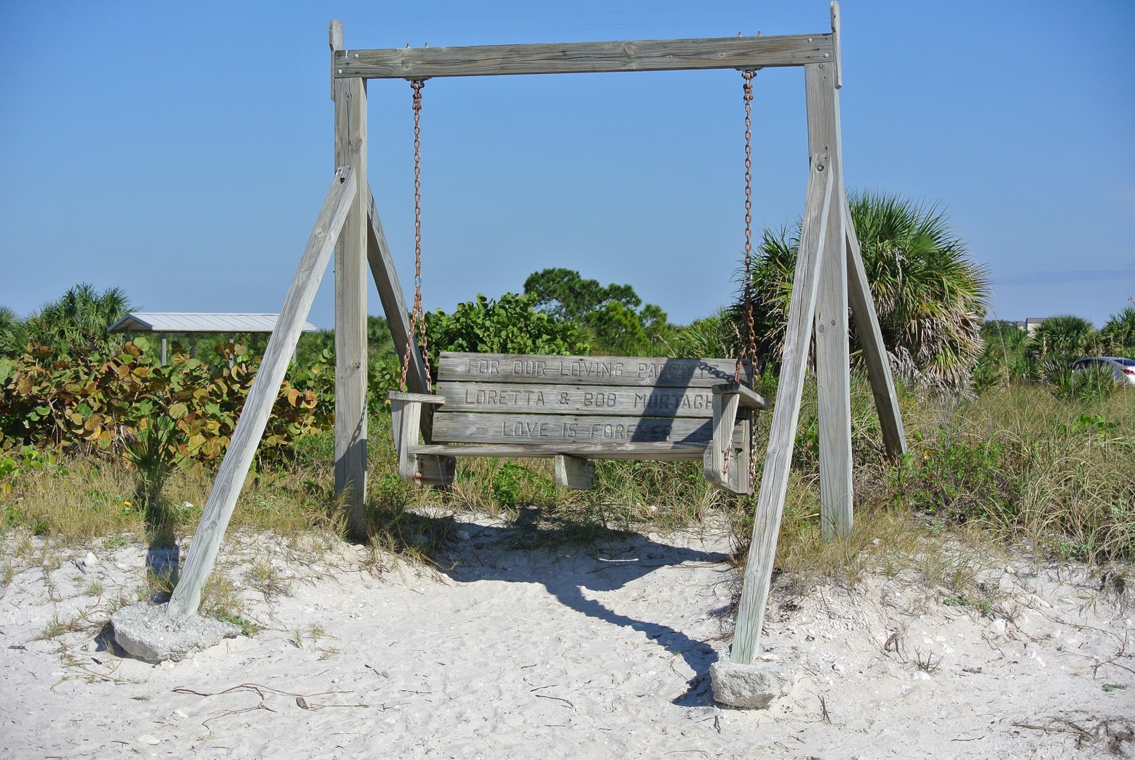 Honeymoon Island - Tampa - Florida - Doets Reizen