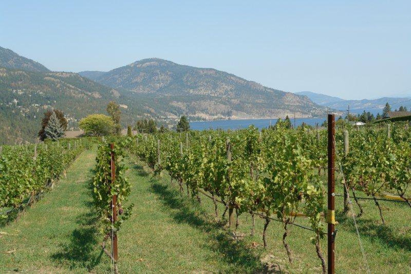 Rollingdale Winery - Kelowna - Okanagan Valley - British Columbia - Canada - Doets Reizen
