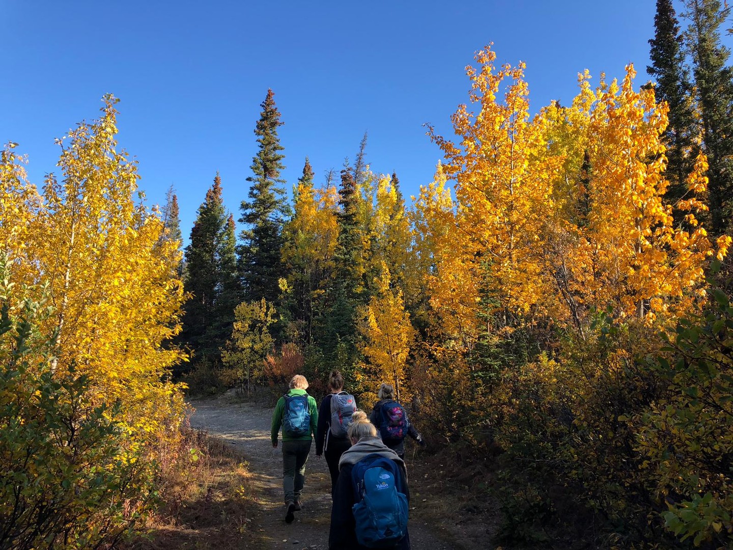 Kathleen Lake - Haines Junction - Yukon - Canada - Doets Reizen
