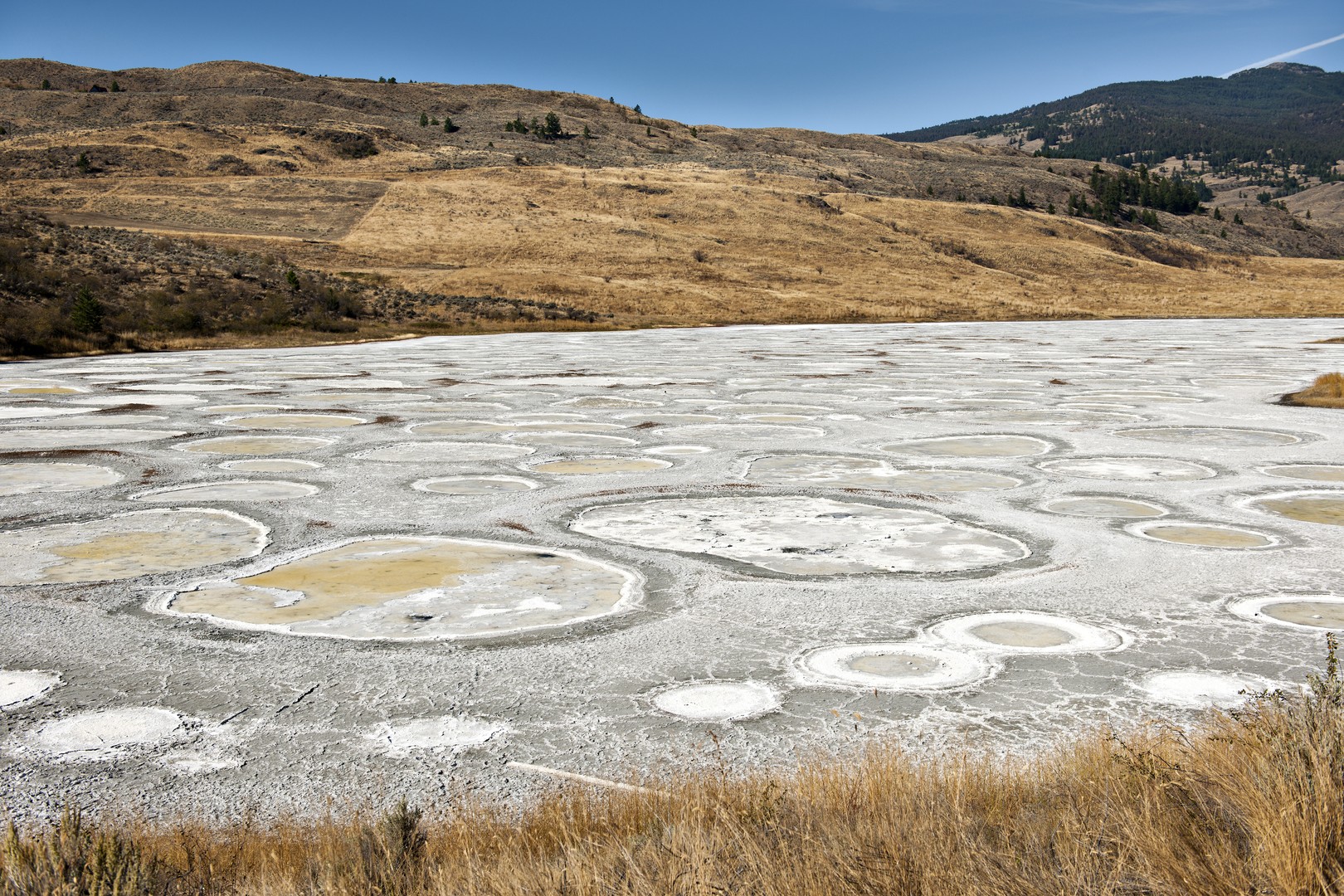 Spotted Lake - Osoyoos - British Columbia - Canada - Doets Reizen