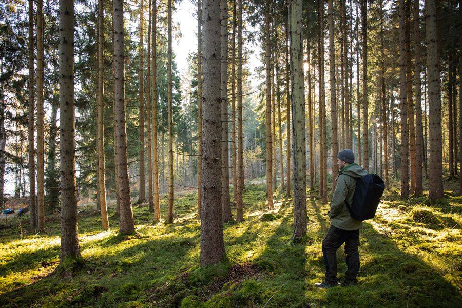Zweden - Doets Reizen - Vakantie Zweden - Rondreis Zweden