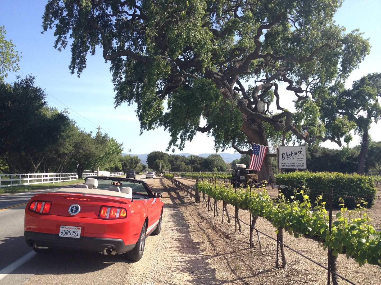 Santa Barbara - California - Amerika - Doets Reizen