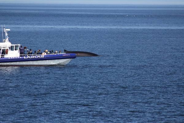 St. Lawrence River - Tadoussac - Quebec - Canada - Doets Reizen