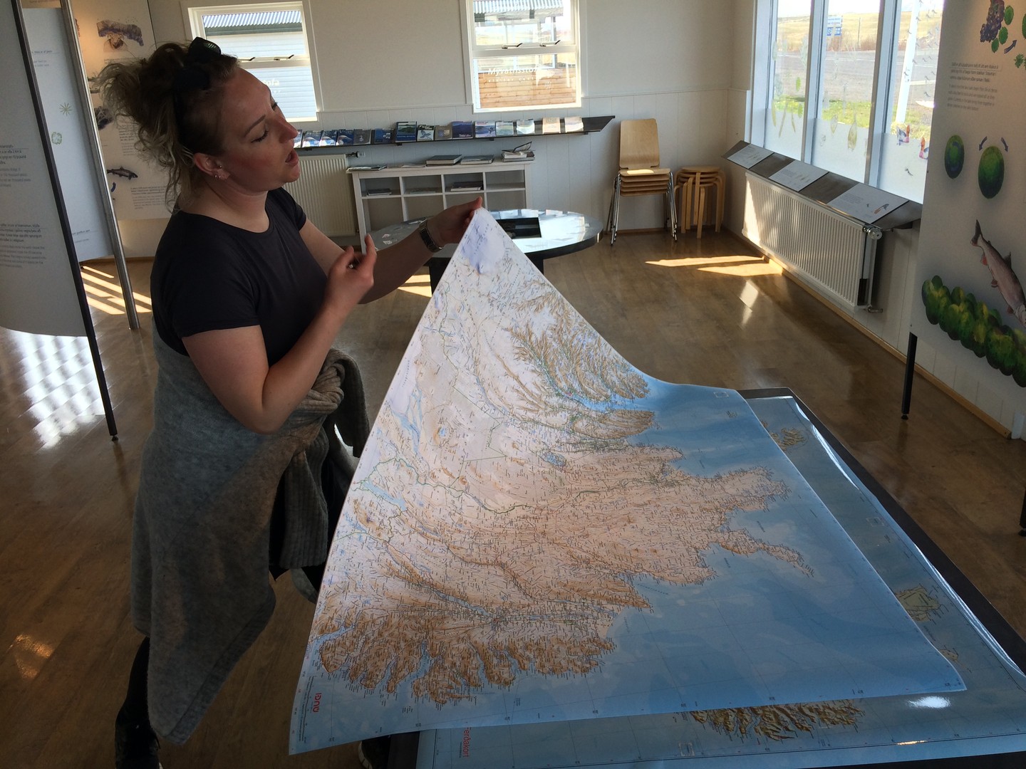 Myvatn - IJsland - Doets Reizen