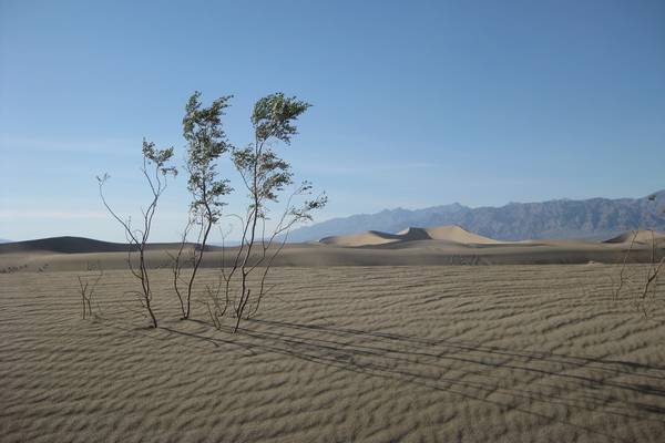 Death Valley - California - Amerika - Doets Reizen