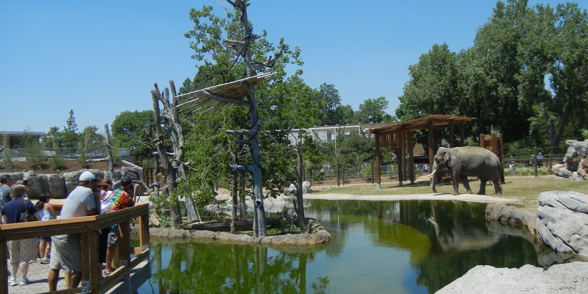 Denver Zoo - Denver - Colorado - Doets Reizen