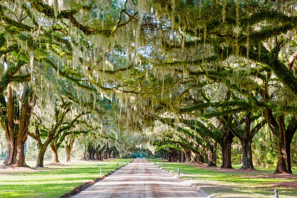 Charleston in South Carolina - Doets Reizen