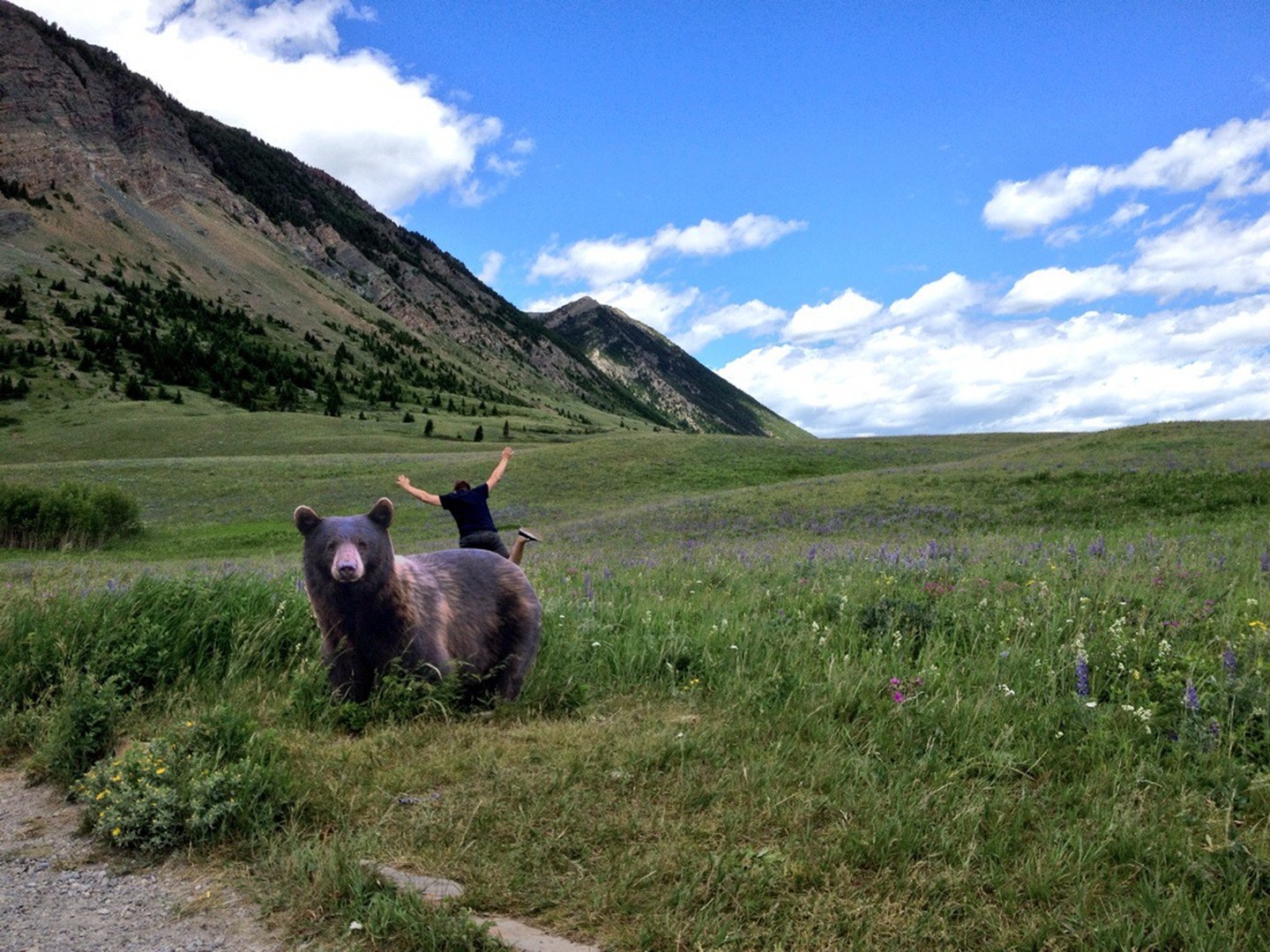 Waterton Lakes National Park - Alberta - Canada - Doets Reizen