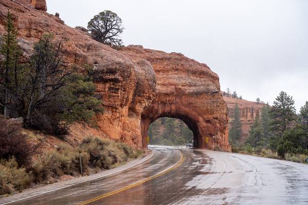 Doets Reizen - ZW USA - Zion NP