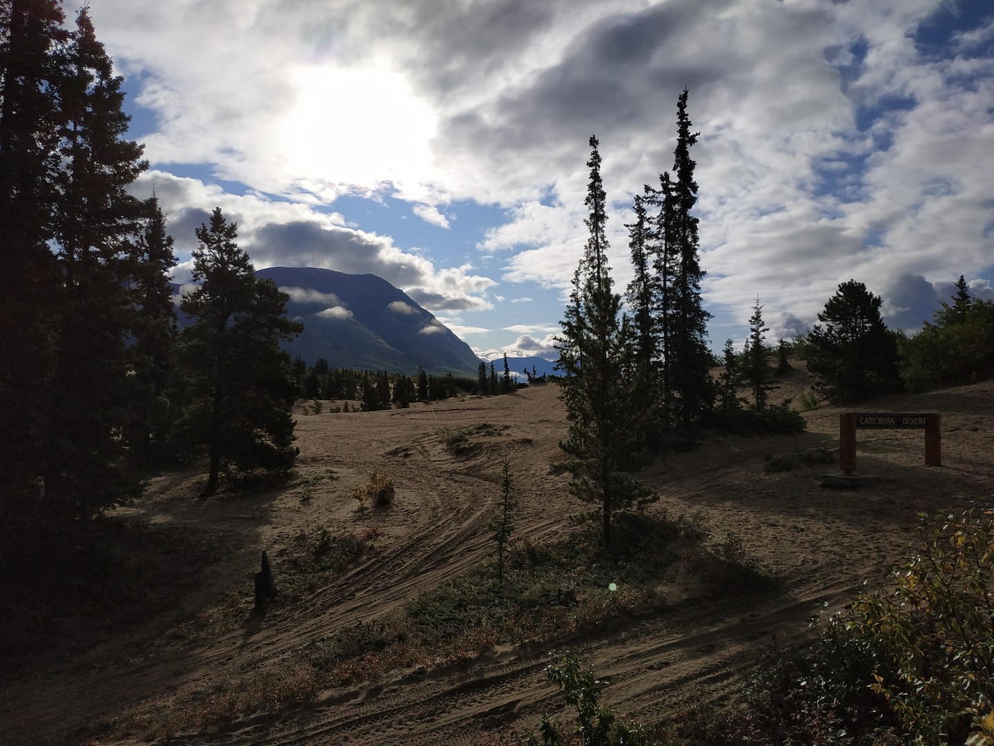 Carcross Desert - Yukon - Canada - Doets Reizen