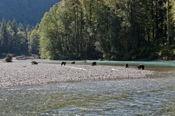 Sonora Resort - British Columbia - Canada - Doets Reizen