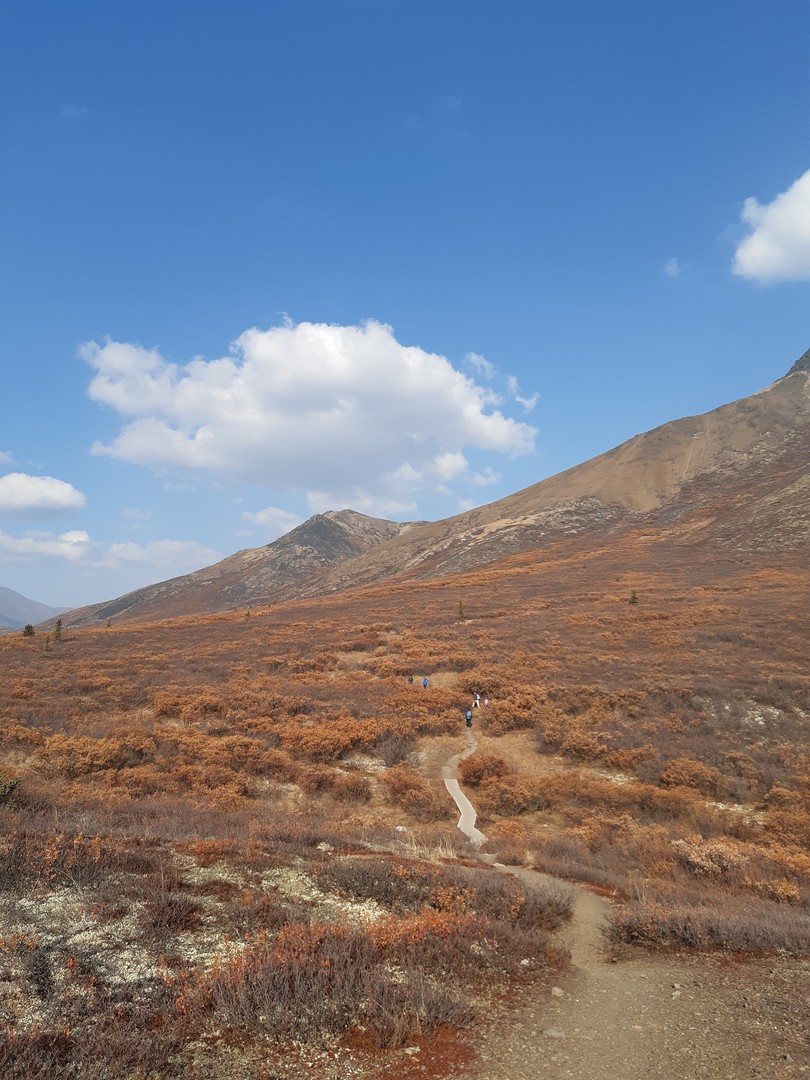 Goldensdies Hike - Tombstone Territorial Park - Yukon - Canada - Doets Reizen