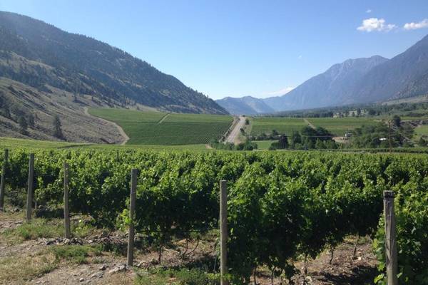 Sandhill Wines - Kelowna - Okanagan Valley - British Columbia - Canada - Doets Reizen