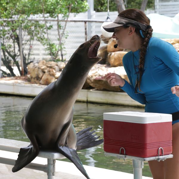 Theater of the Sea - Islamorada - The Keys - Florida - Doets Reizen