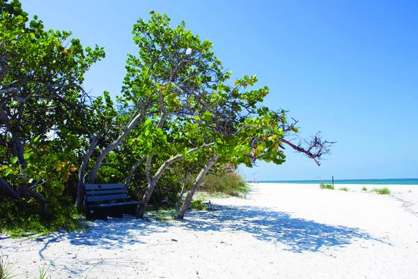 Naples - Florida - Doets Reizen