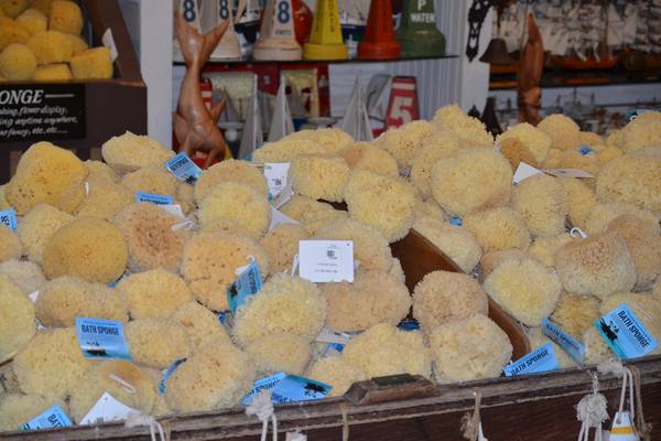 Key West - The Keys - Florida - Doets Reizen