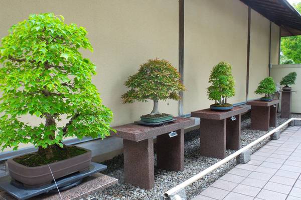 Botanische tuinen - Montreal - Quebec - Canada - Doets Reizen