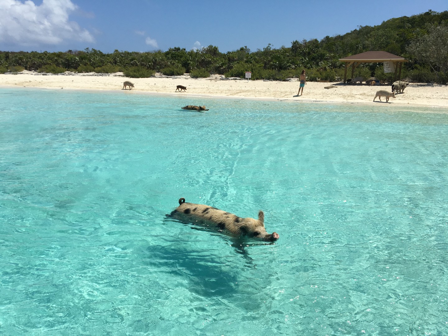 Great Exuma - Cruise Bahamas - Cruisevakantie - Doets Reizen