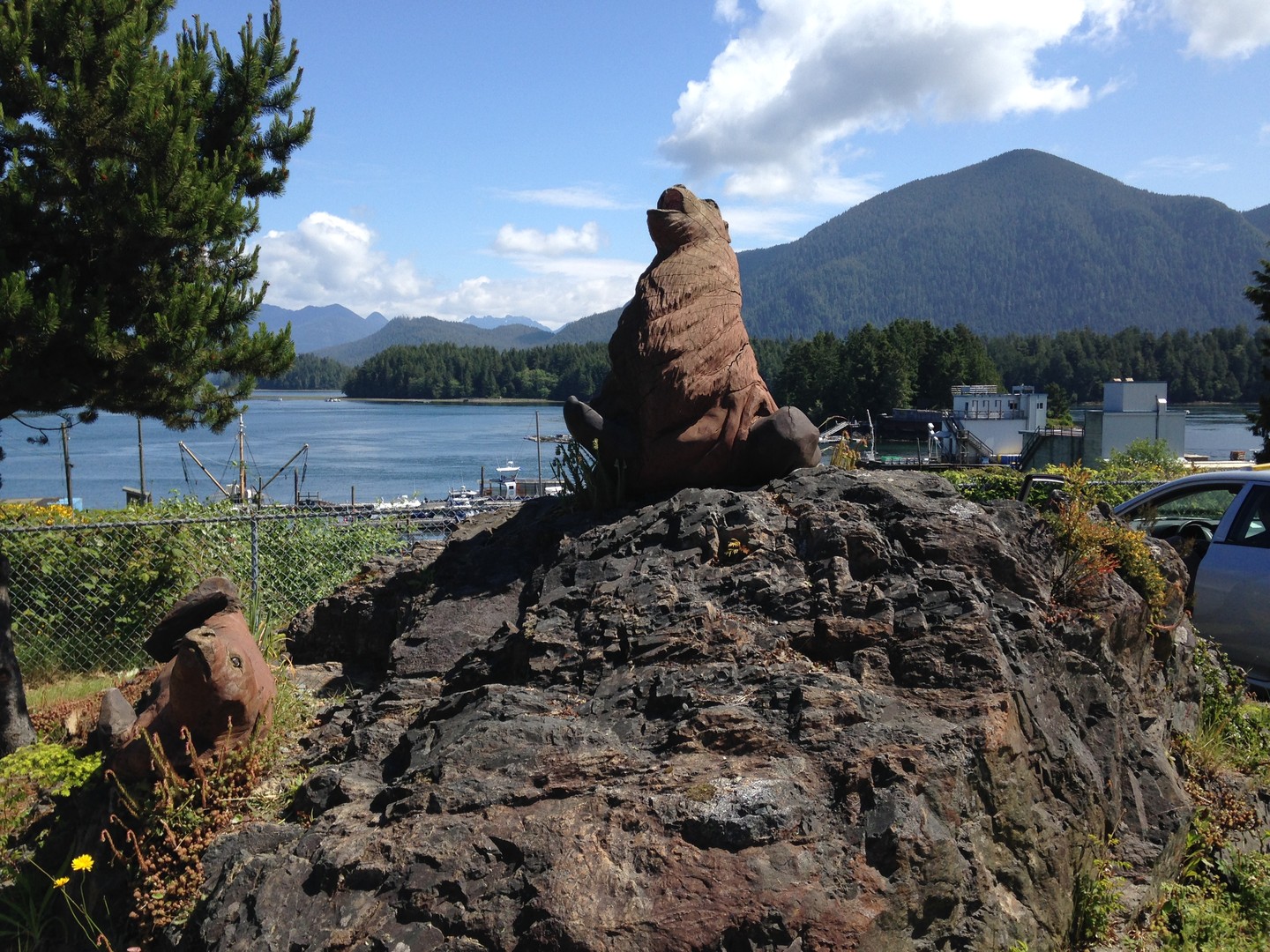 Pacific Rim National Park Tofino