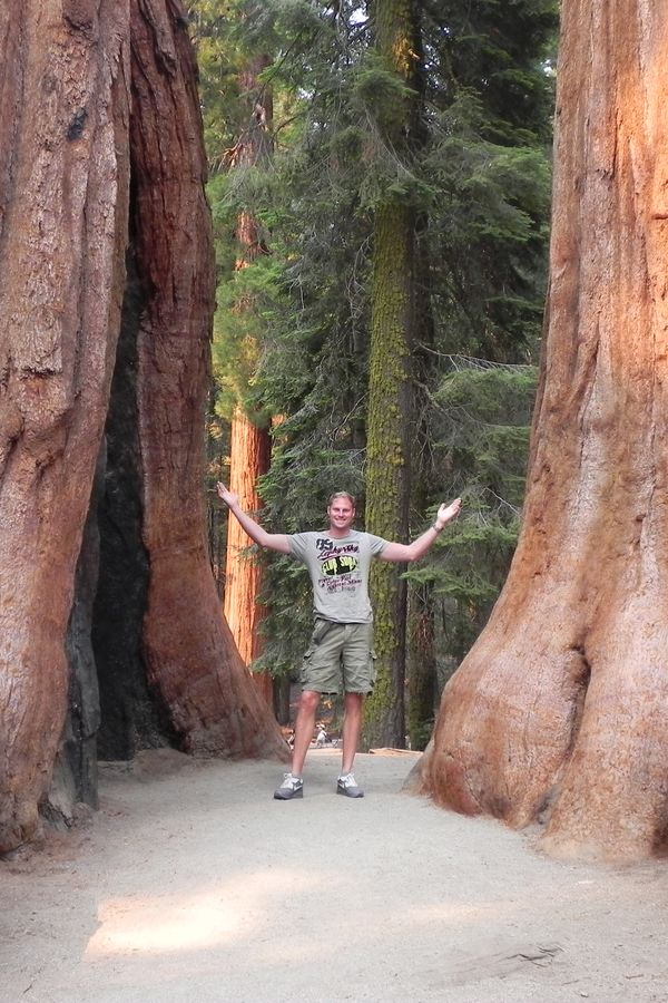 Sequoia National Park - California - Amerika - Doets Reizen