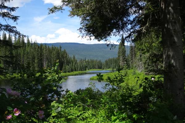 Wells Gray Provincial Park - British Columbia - Canada - Doets Reizen