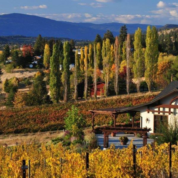 Ancient Hill Estate Winery - Kelowna - Okanagan Valley - British Columbia - Canada - Doets Reizen
