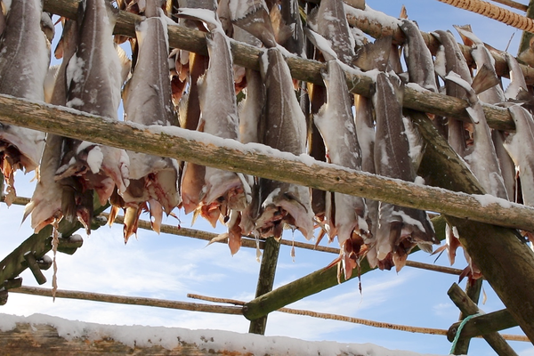 Stokvis - Doets Reizen - Vakantie Noorwegen - Credits VisitNorway.com