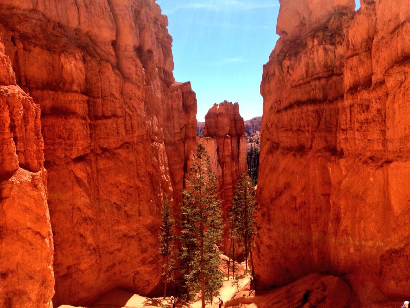 ​Bryce Canyon National Park - Utah - Doets Reizen