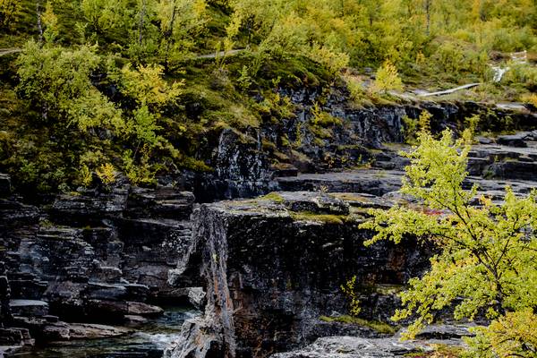 Zweeds Lapland - Doets Reizen - Vakantie Zweden - Credits SwedishLapland.com