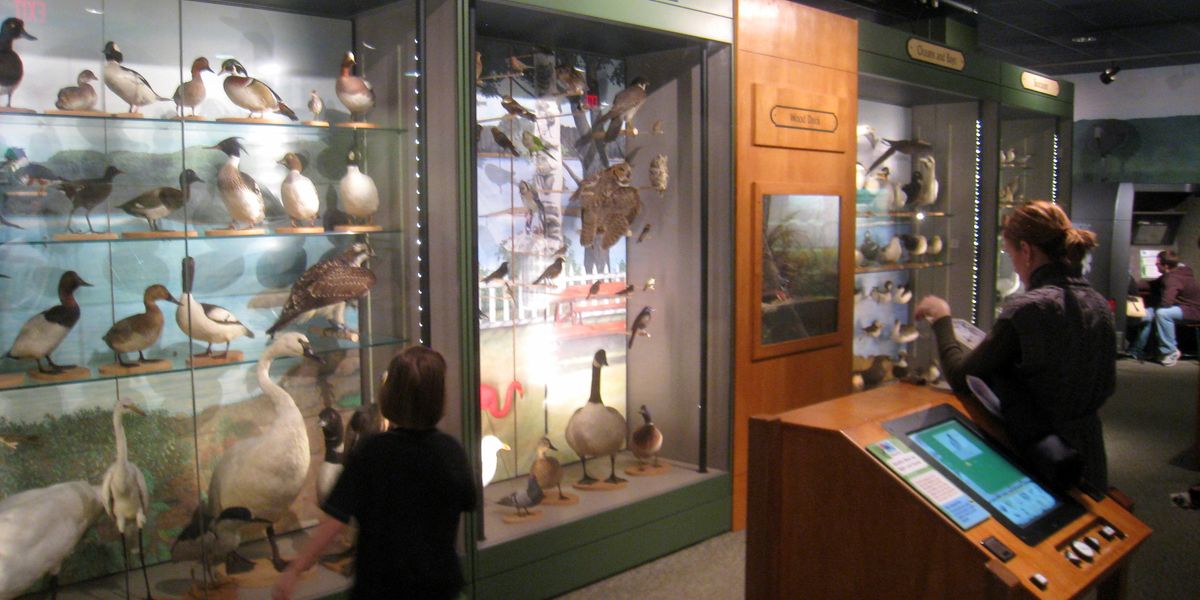 Boston Museum of Science - Boston - Massachusetts - Doets Reizen