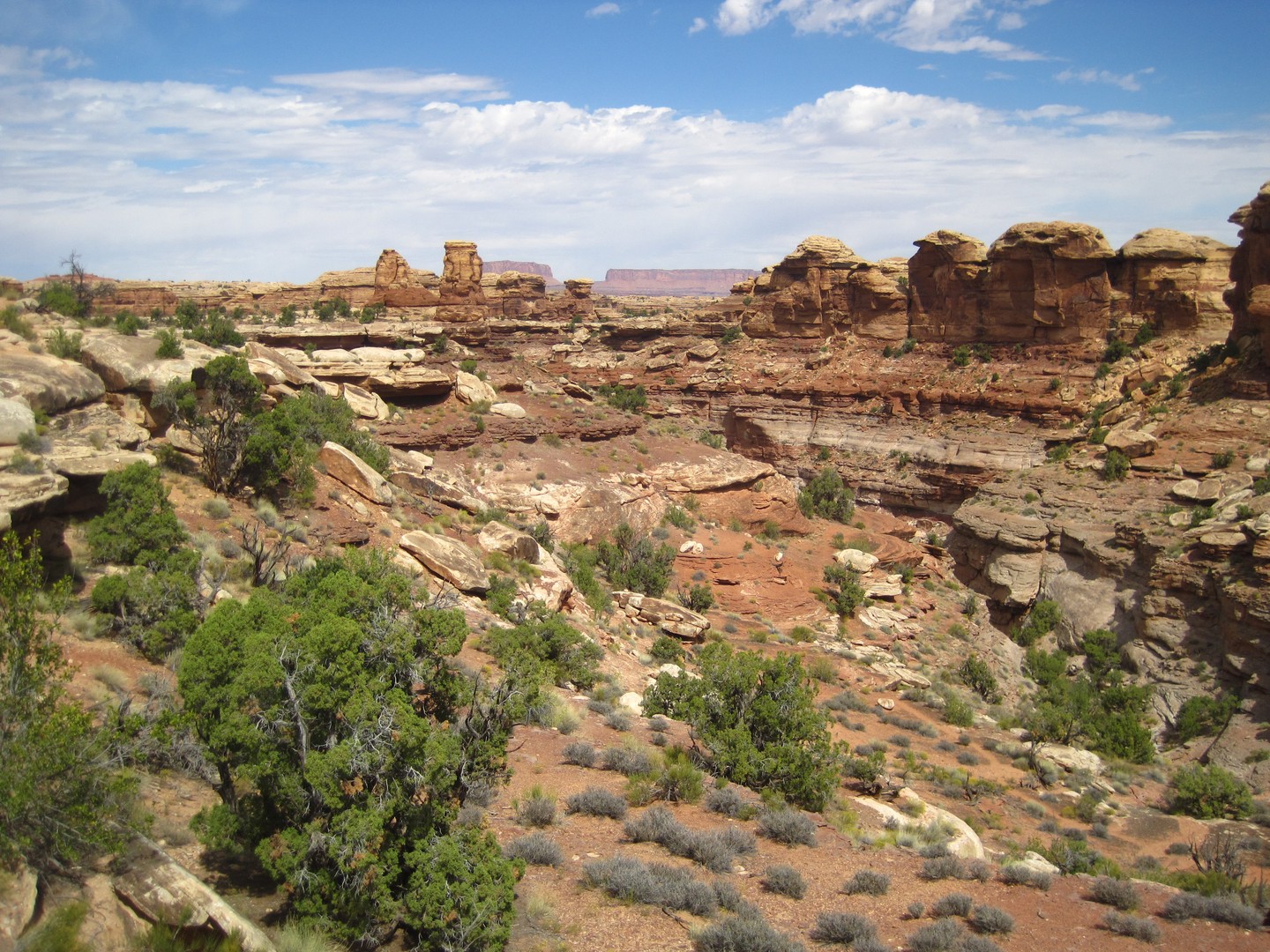 Canyonlands National Park - Utah - Doets Reizen