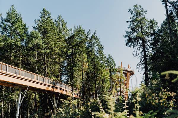 Malahat Skywalk - Vancouver Island - Doets Reizen - Canada reis - Attractie Vancouver Island