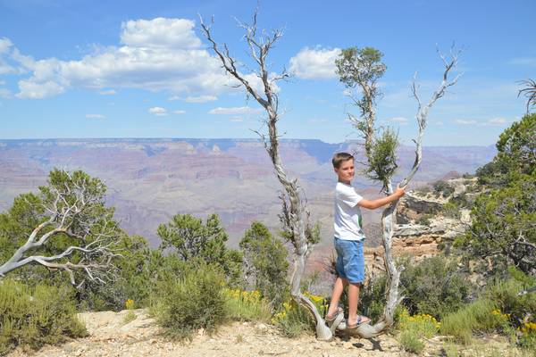 Grand Canyon - Arizona - Doets ReizenGrand Canyon - Arizona - Doets Reizen
