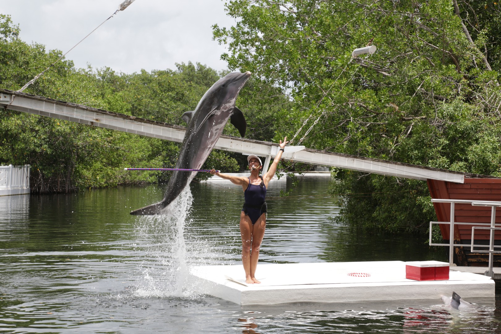 Theater of the Sea - Islamorada - The Keys - Florida - Doets Reizen
