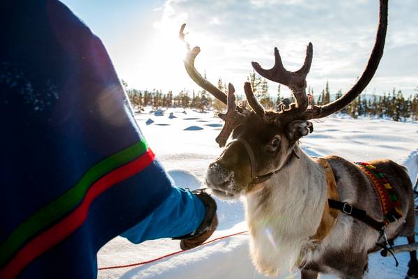 Jukkasjärvi - Doets Reizen - Vakantie Zweden - Credit Visit Sweden (4)