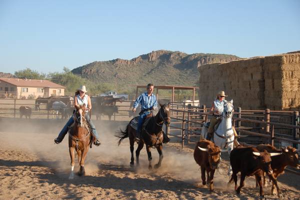 Tucson - Arizona - Doets Reizen