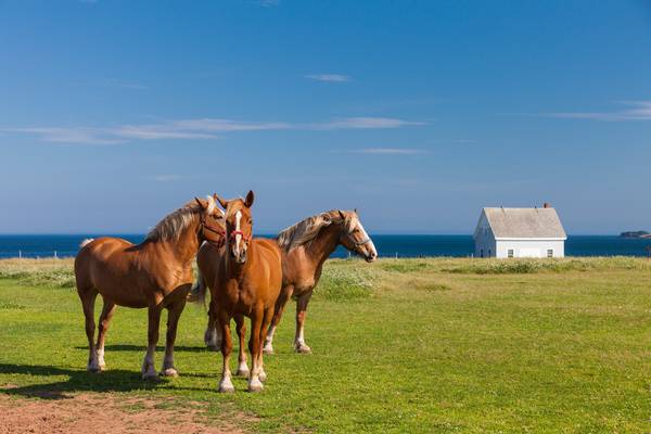 Prince Edward Island - Canada - Doets Reizen