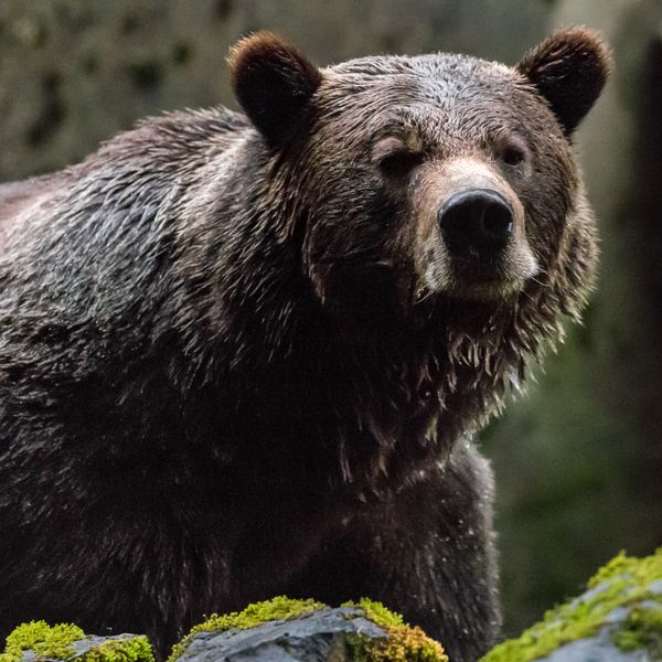 Seawolf Adventures - British Columbia - Canada - Doets Reizen