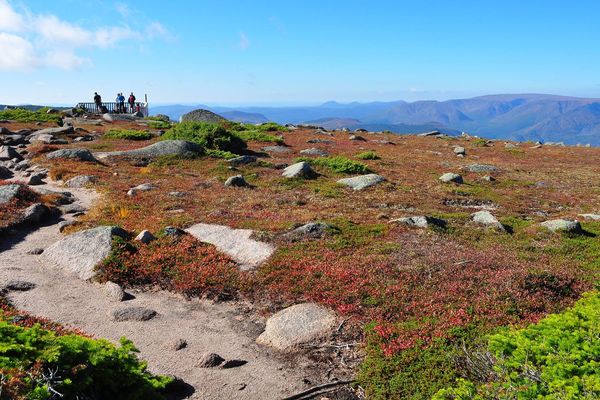 Gaspésie National Park - Quebec - Canada - Doets Reizen