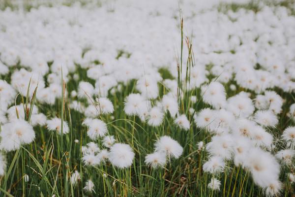 Lapland - Doets Reizen - Vakantie Finland - Credits VisitFinland