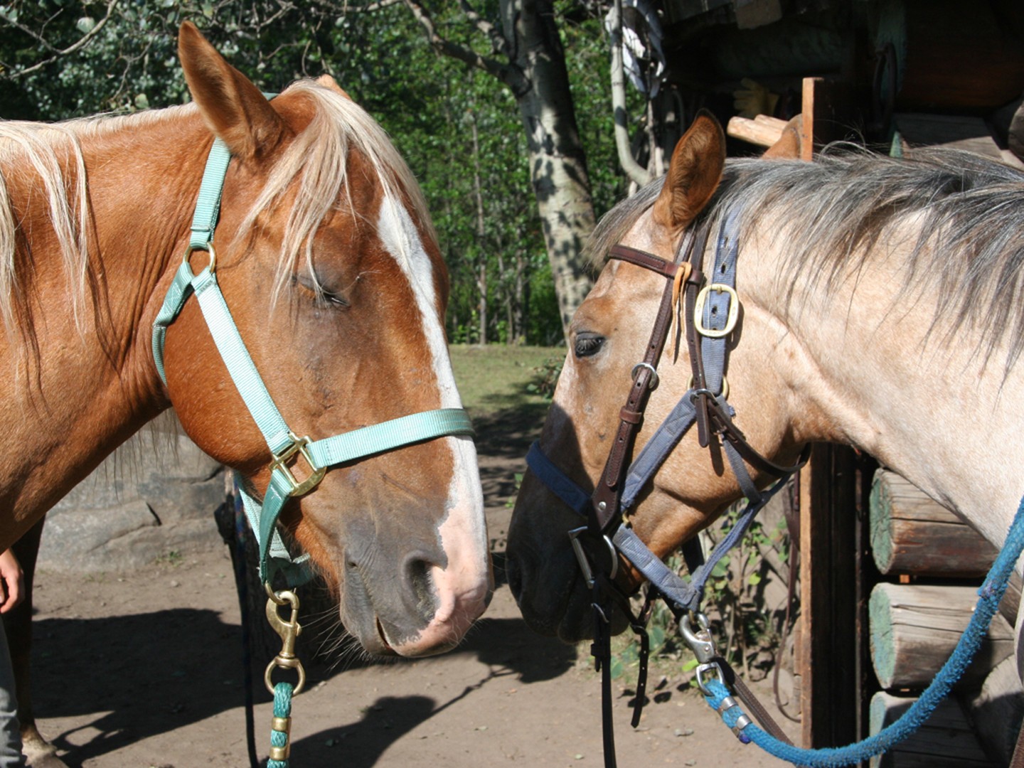 Ten-ee-ah Lodge - British Columbia - Canada - Doets Reizen