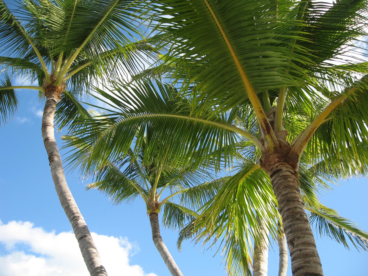 Strand Florida - Doets Reizen