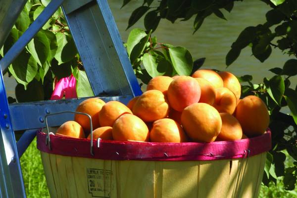 Grand Junction - Colorado - Doets Reizen