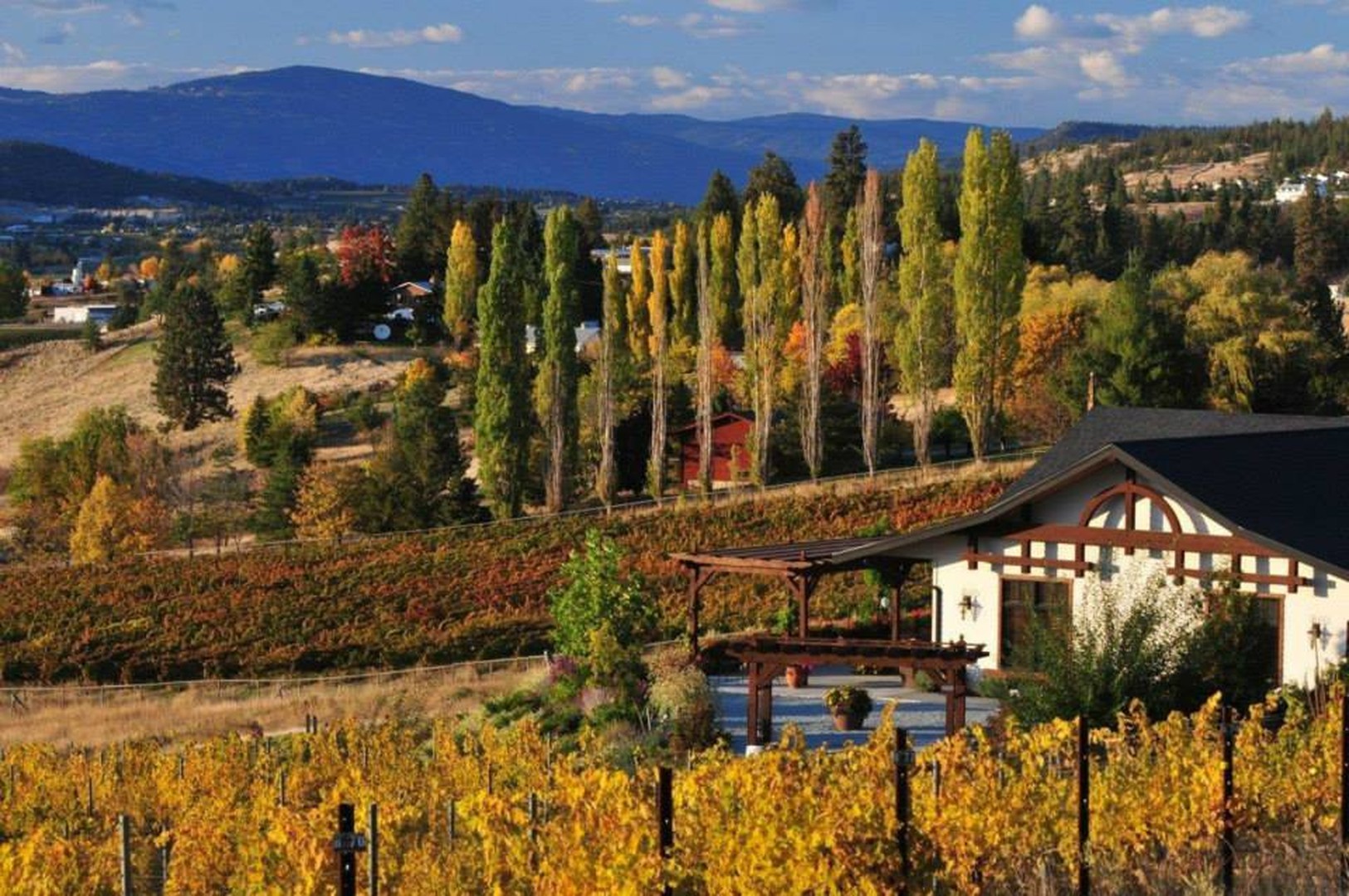 Ancient Hill Estate Winery - Kelowna - Okanagan Valley - British Columbia - Canada - Doets Reizen