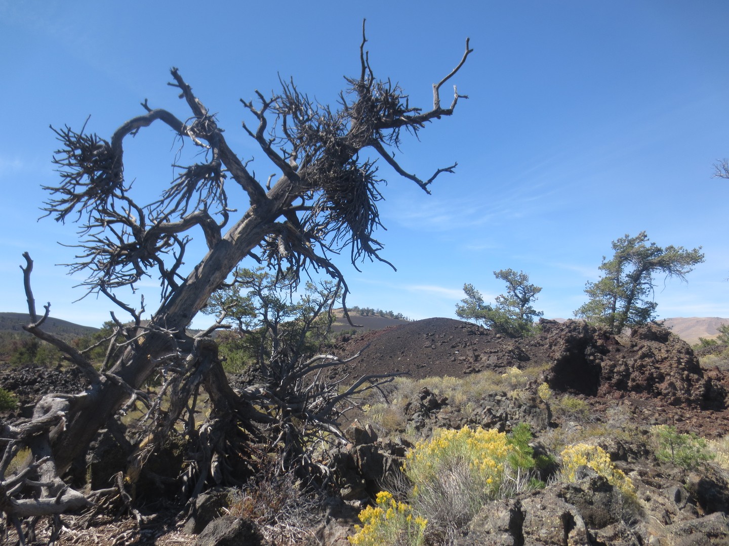 Craters of the Moon National Monument - Idaho - Amerika - Doets Reizen
