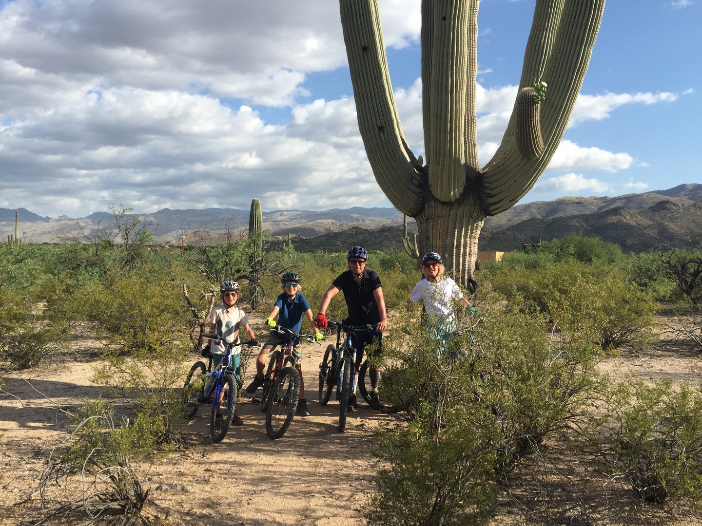 Tucson - Arizona - Doets Reizen