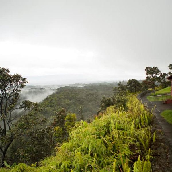 Vulcano House View.JPG