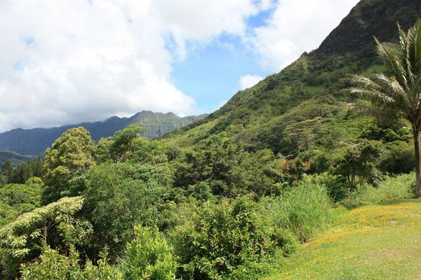 Oahu - Hawaii - Doets Reizen