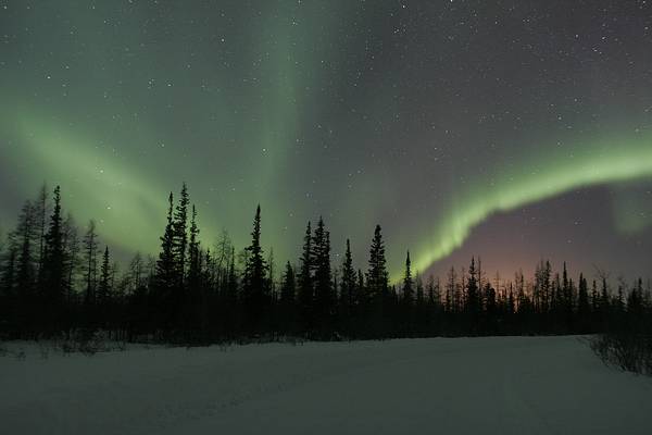 Noorderlicht Churchill - Manitoba - Canada - Doets Reizen