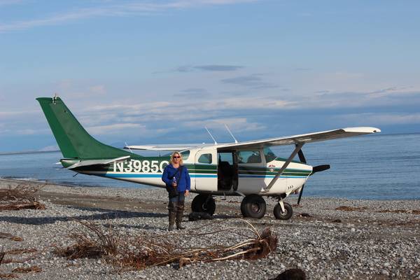 Bear & Wildlife Viewing - Homer - Alaska - Doets Reizen